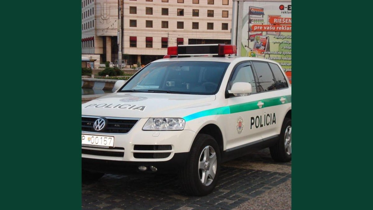 Туарег полиция