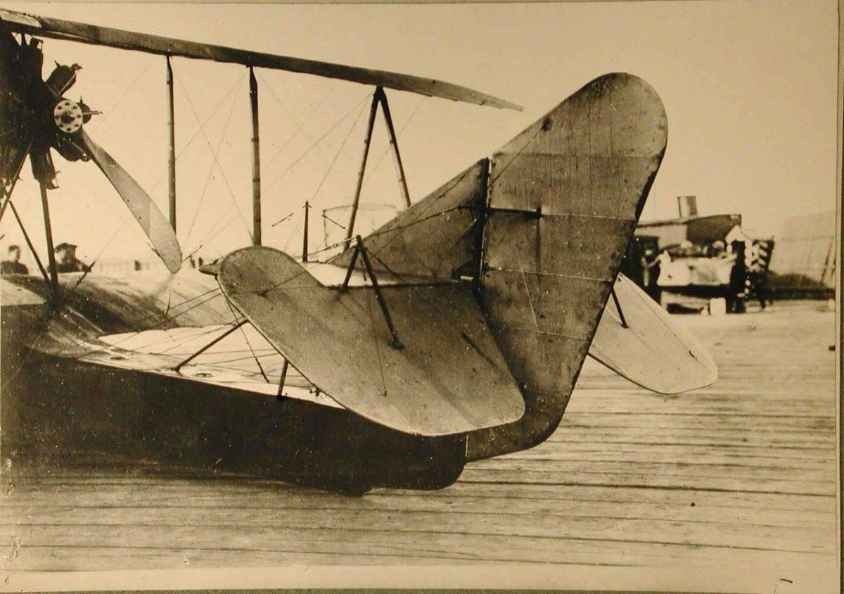 Гидросамолет м-5 Григоровича