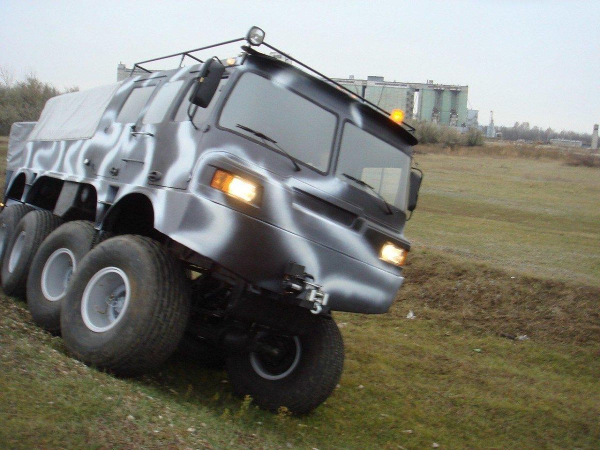 Снегоболотоход медведь м5