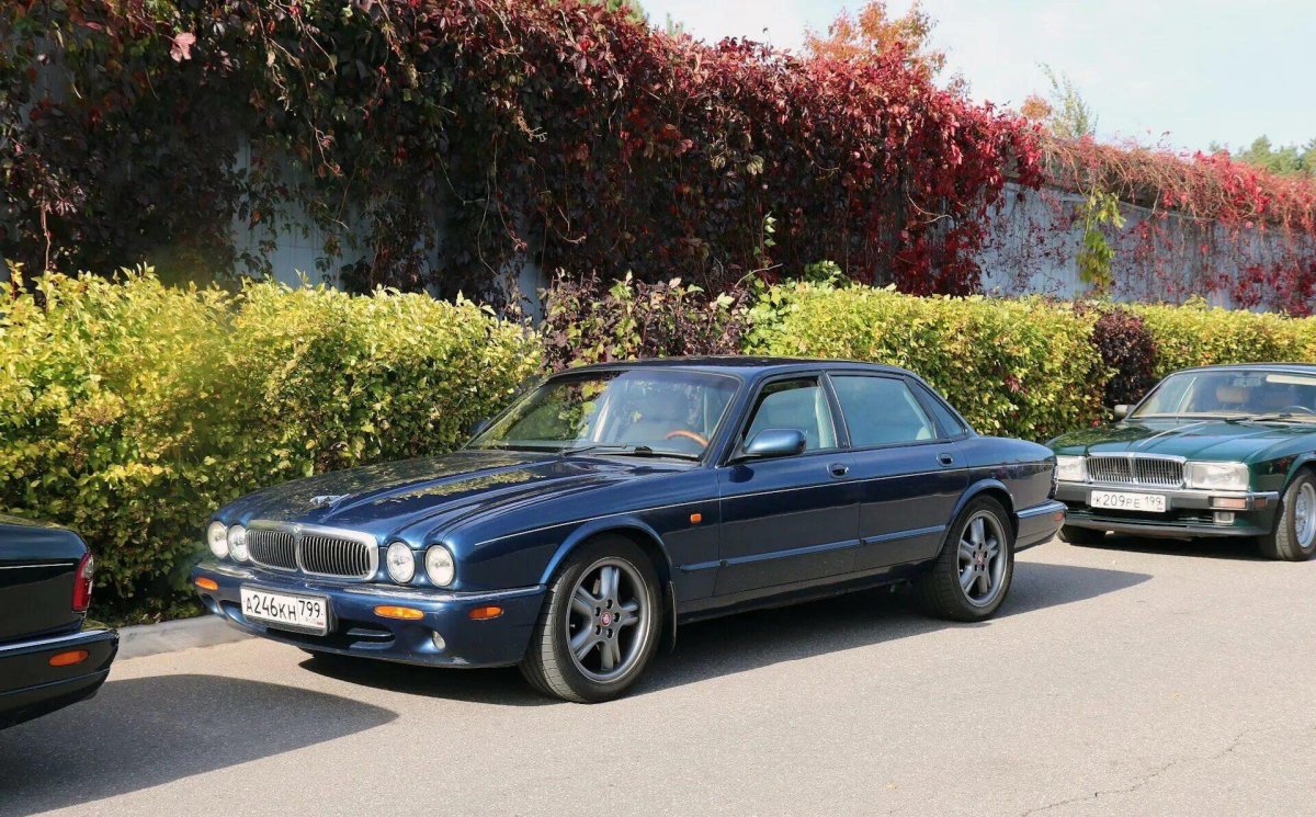 Jaguar XJ 308