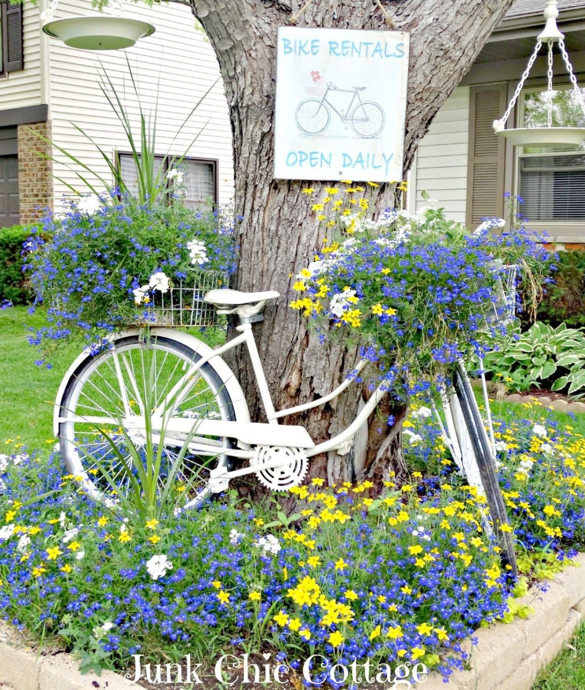 Петуния Прованс