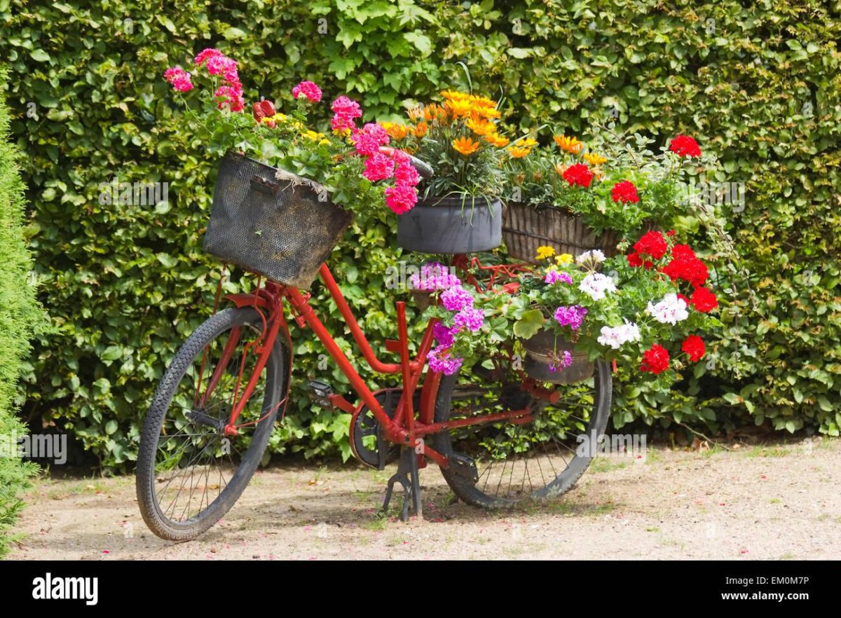 Велосипед клумба