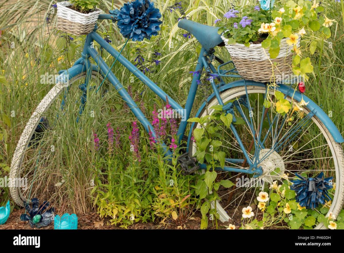 Старый велосипед в дизайне сада фото