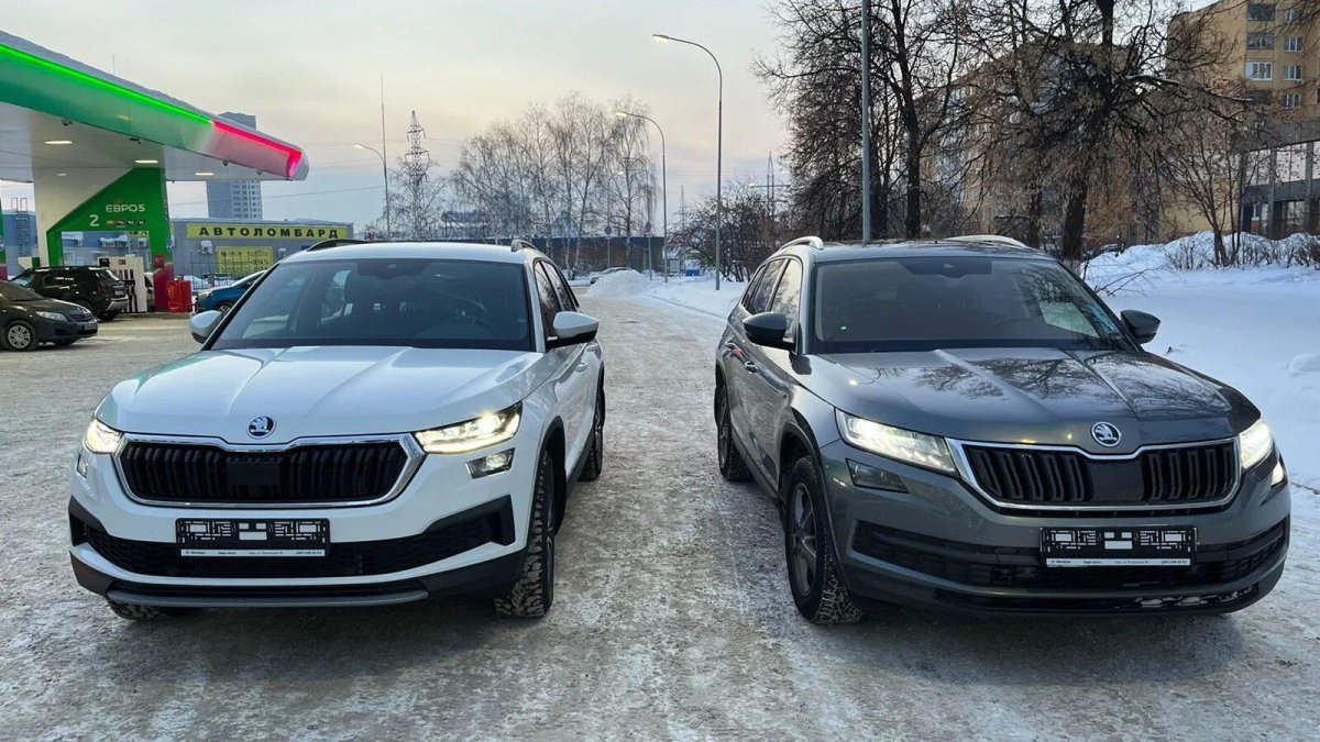 Кодиак FL 2022