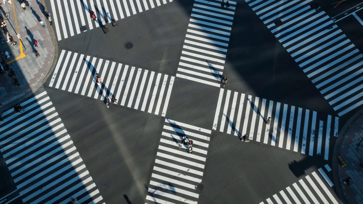 Дорога с пешеходным переходом