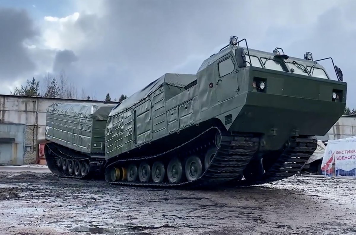 ДТ-10пм Витязь