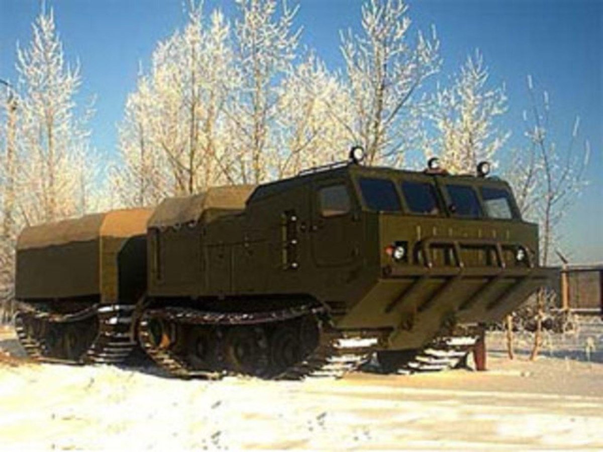 ДТ 2п Витязь