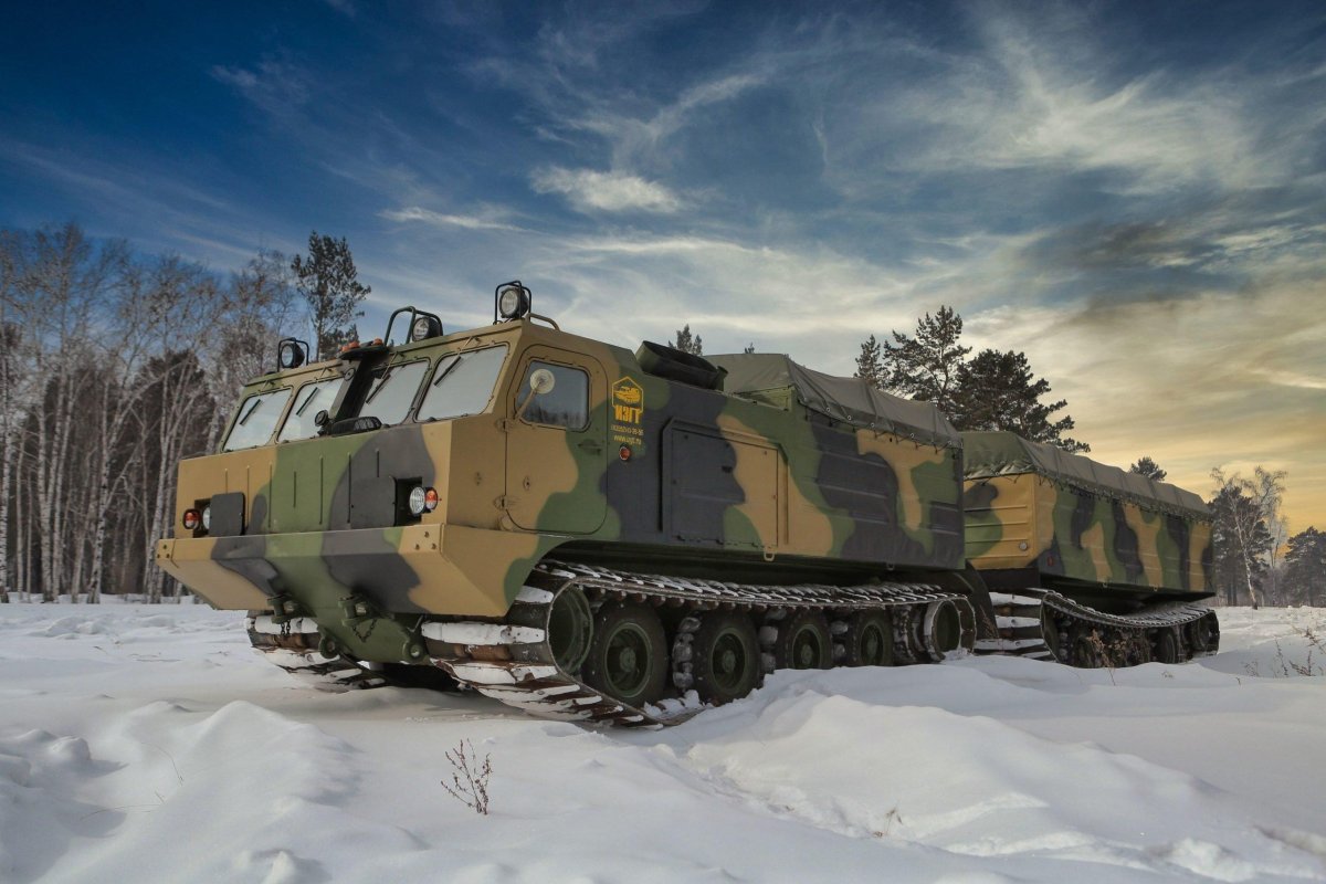 ДТ-10пм Витязь