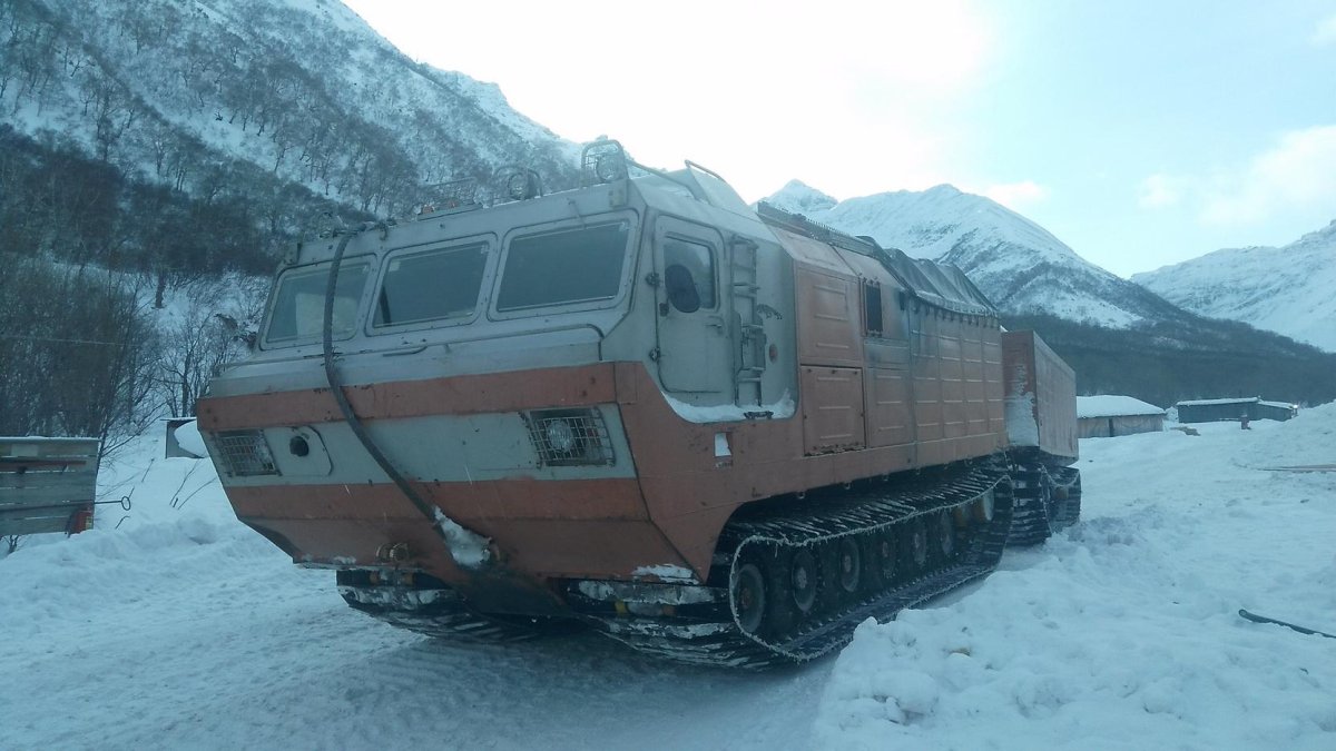 Снегоболотоход ДТ-30 Витязь
