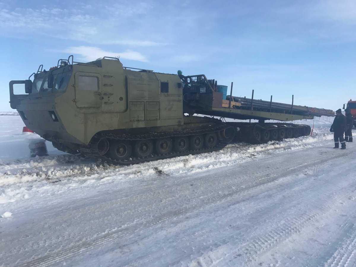 Витязь ДТ-30п