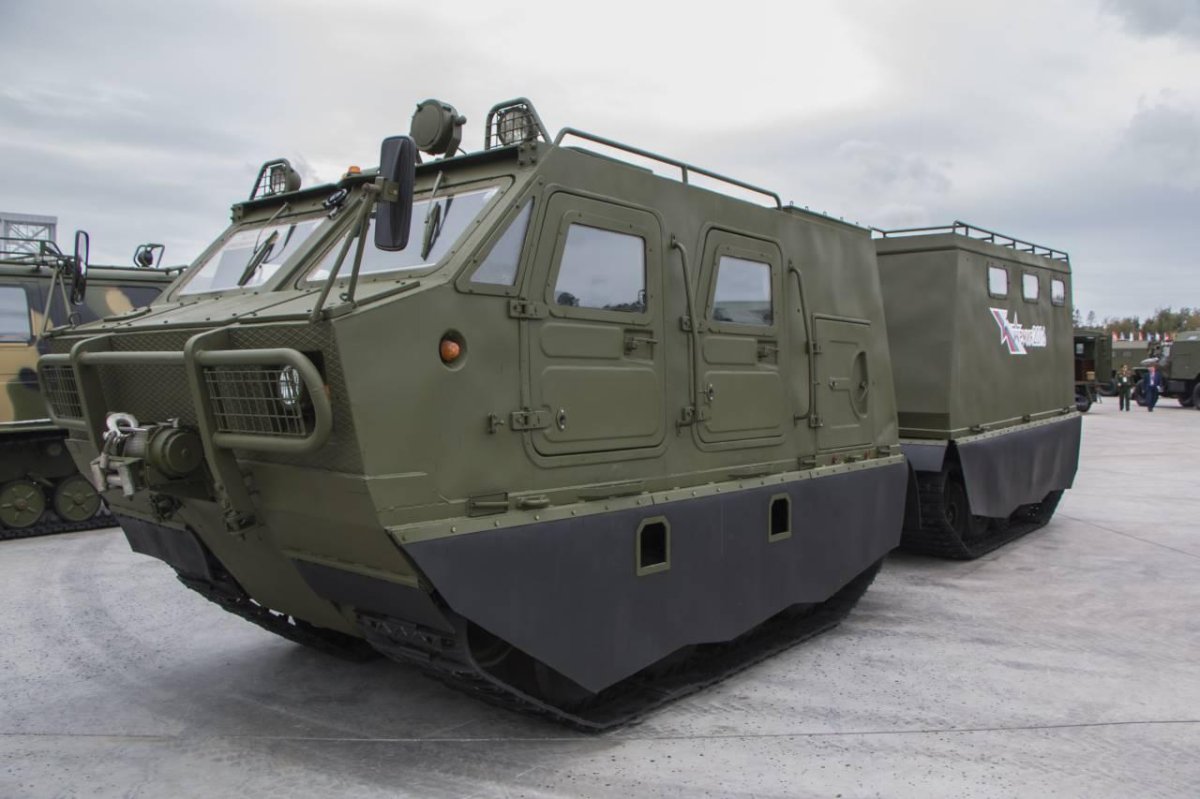 Витязь ДТ-30пм