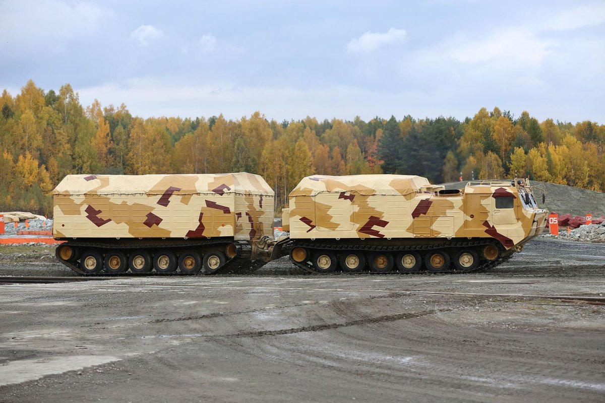 Витязь ДТ-30п