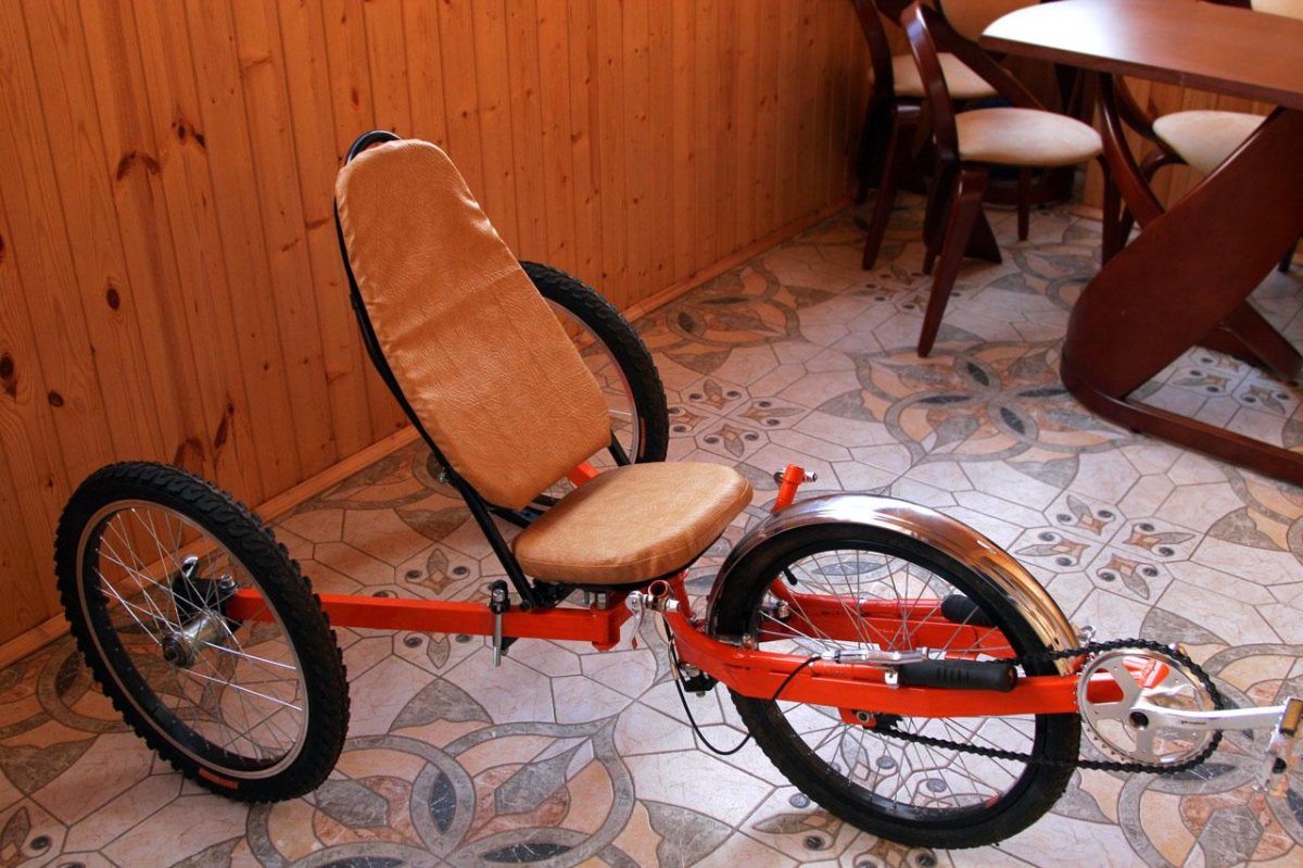 Трайк лигерад Биг Денди 24