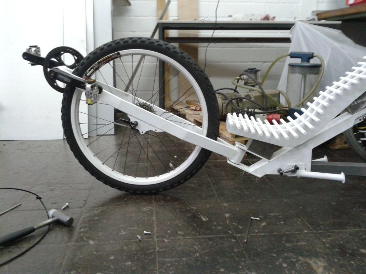 Лигерад питон