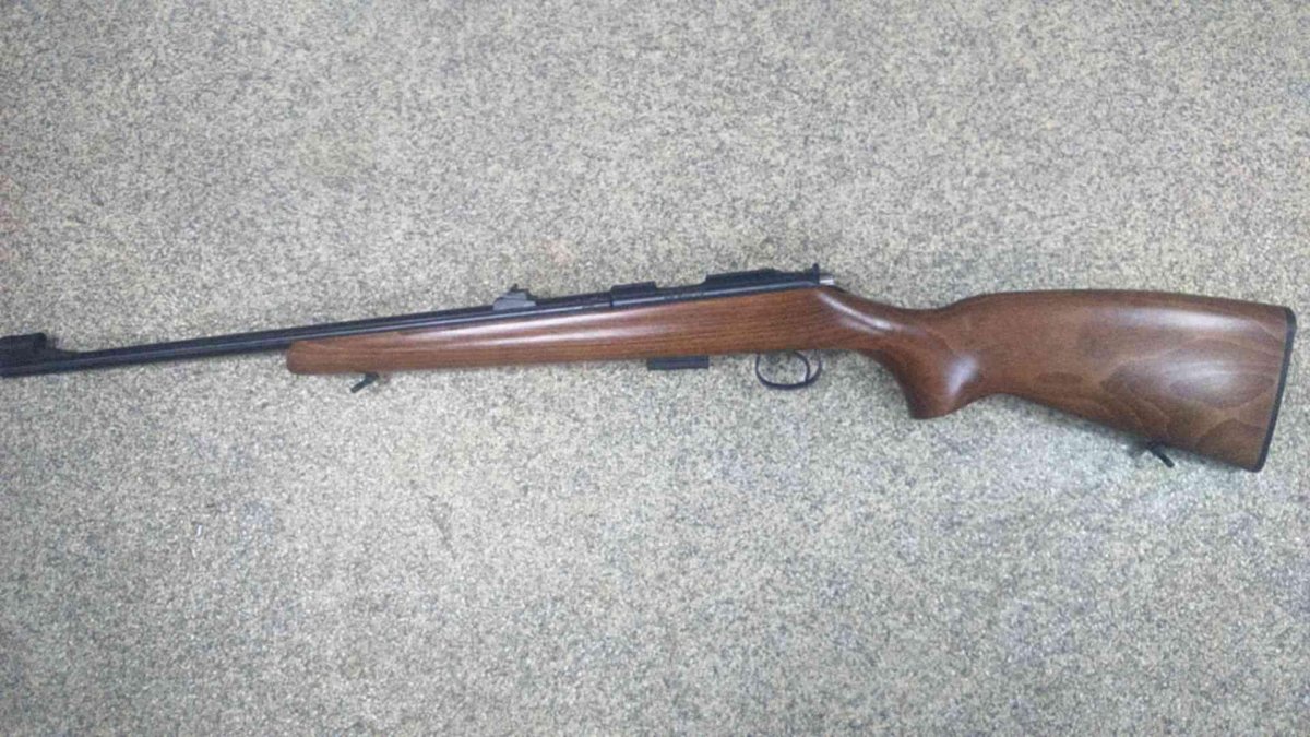 Мелкашка cz 455