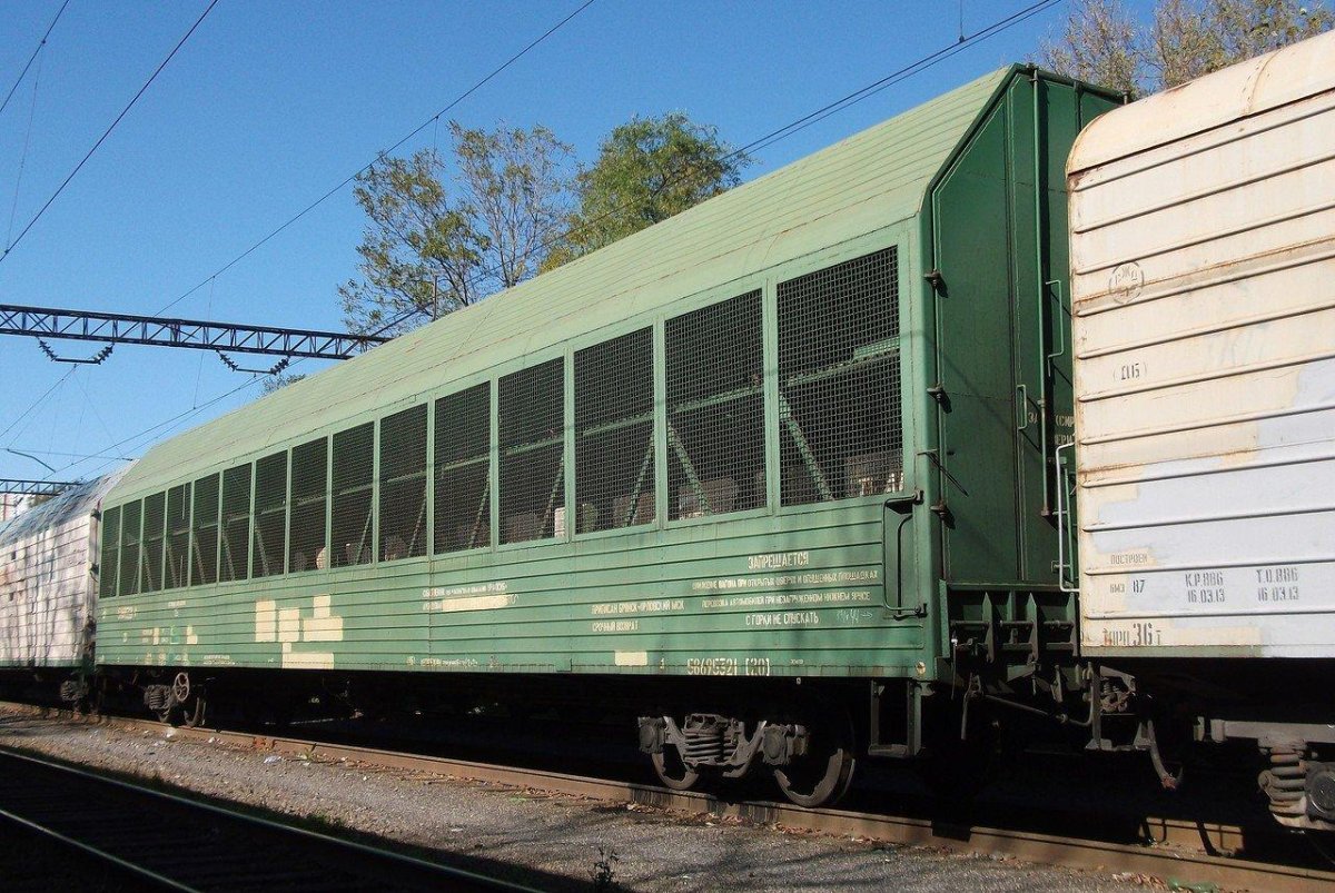 Вагон сетка 11 1804