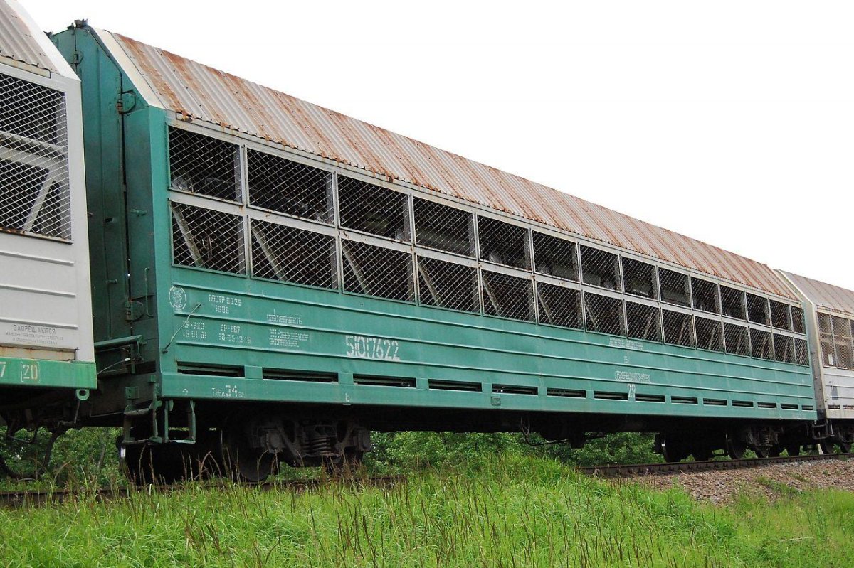 Вагон-автомобилевоз РЖД