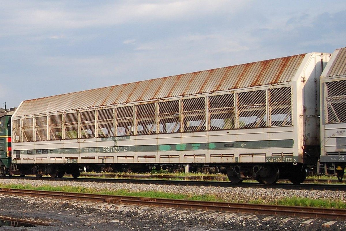 Вагон сетка 11 1804