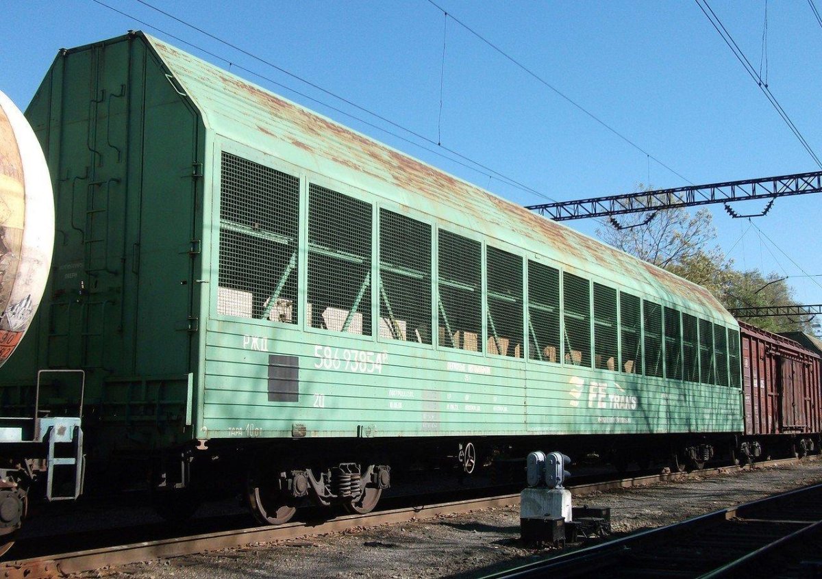 Модель 11-1804 Крытый вагон для перевозки автомобилей