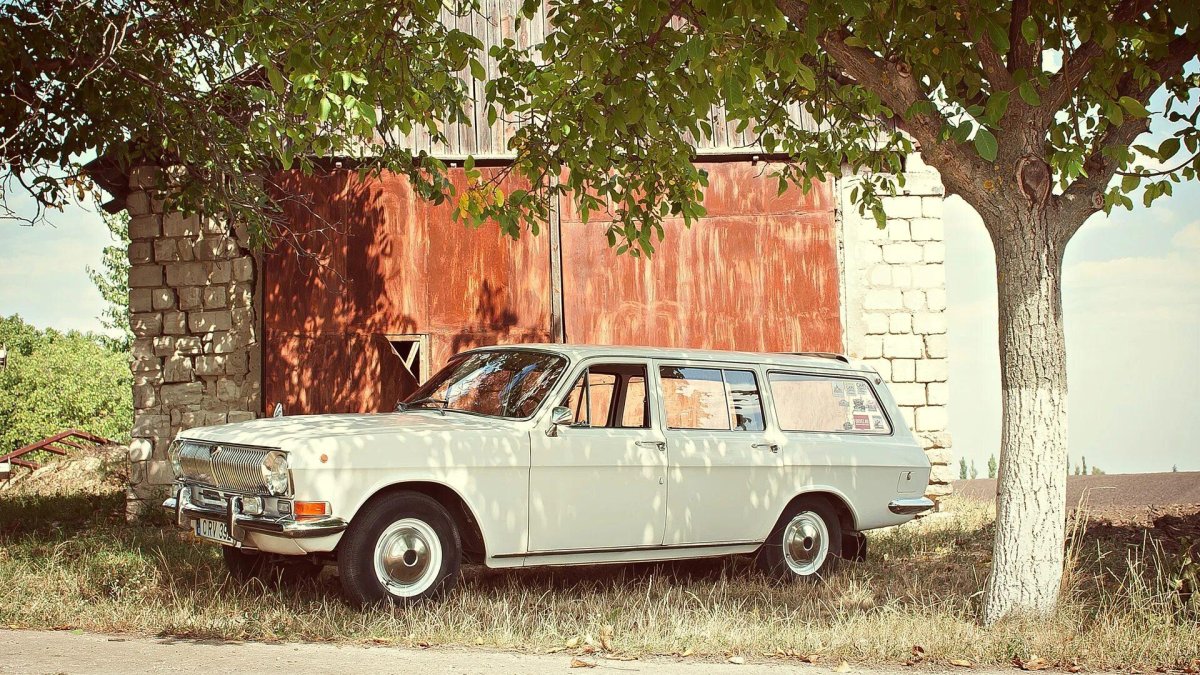 Волга ГАЗ 24 1977