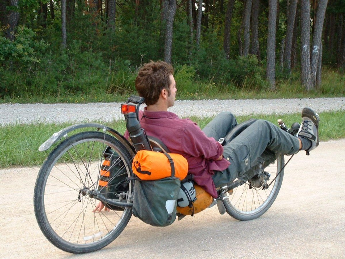 Лигерад питон