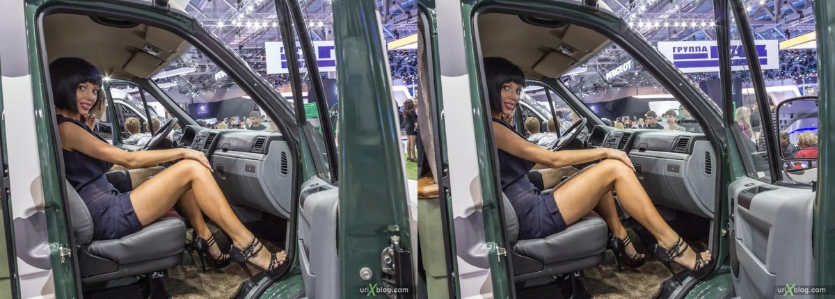 Девушка на газели