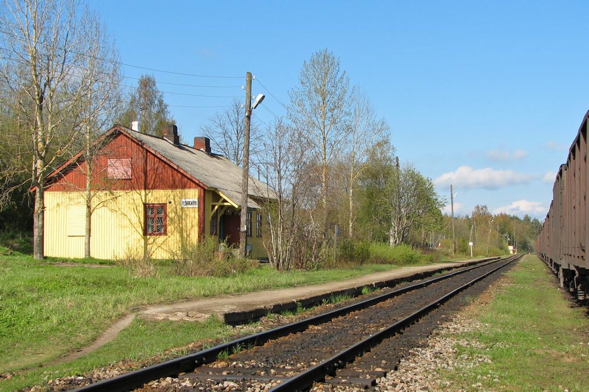 Станция Леппясилта