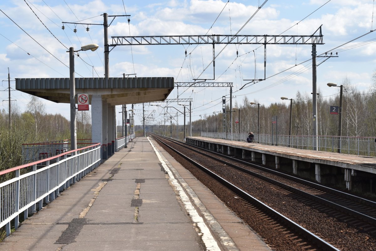 Станция Лесная