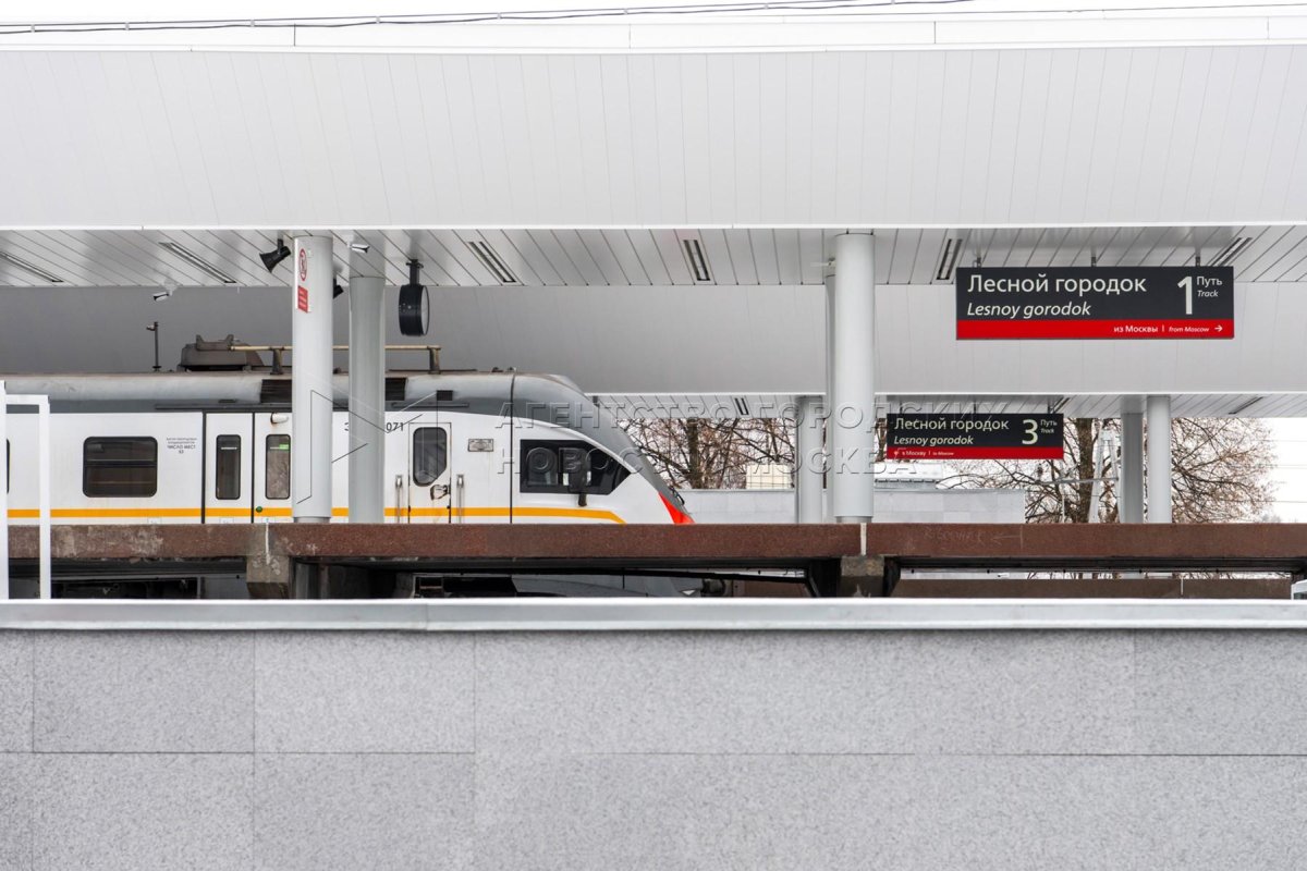 Станция Покровская МЦД