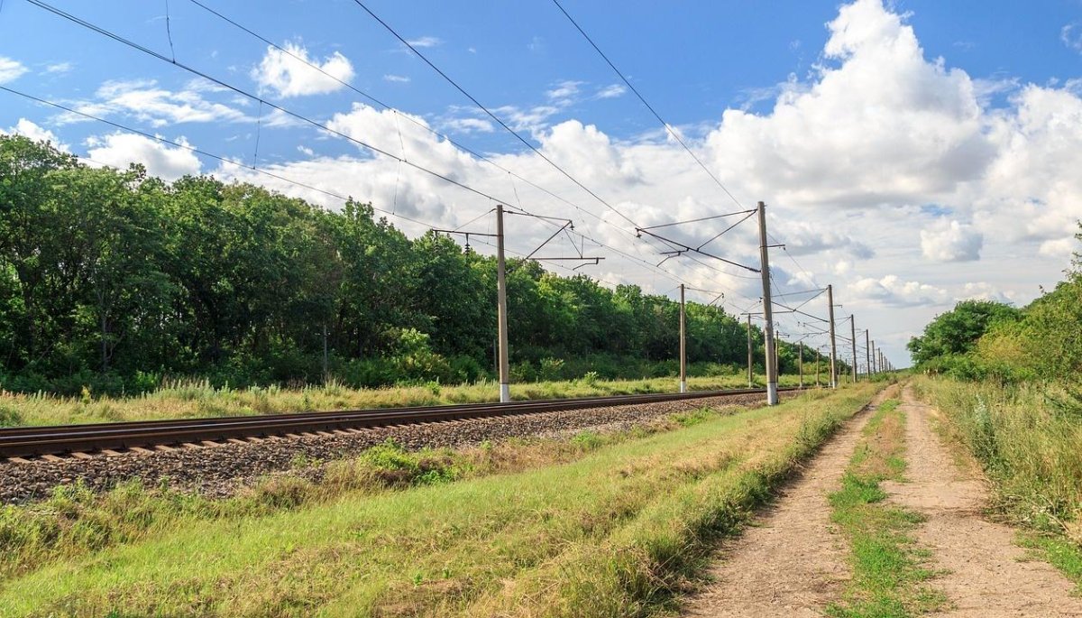 Лесонасаждения ЖД