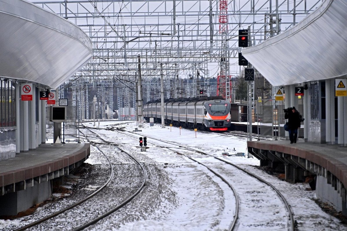 Станция Лесной городок МЦД