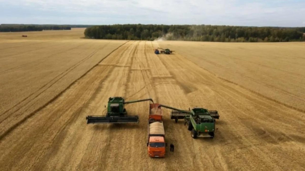 Сельскохозяйственное Машиностроение