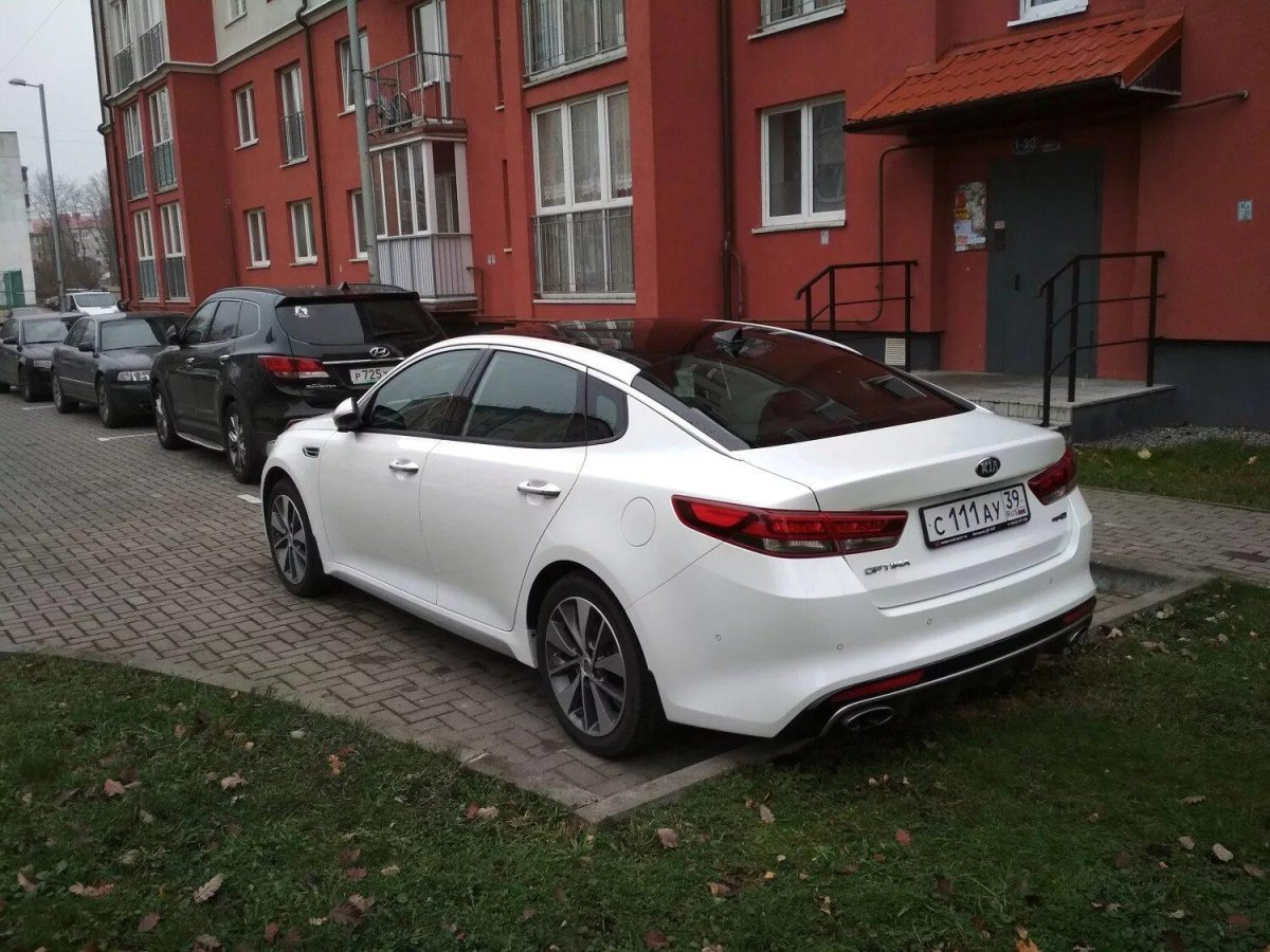 Kia Optima 2019 чорни криша