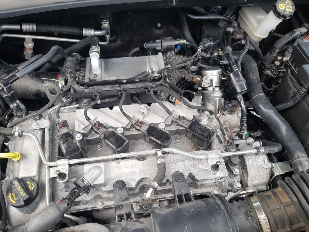 Форсунка топливная Чанган