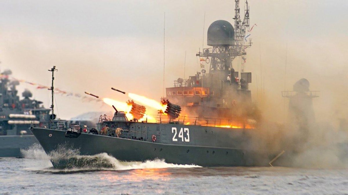 Боевые корабли ВМФ России