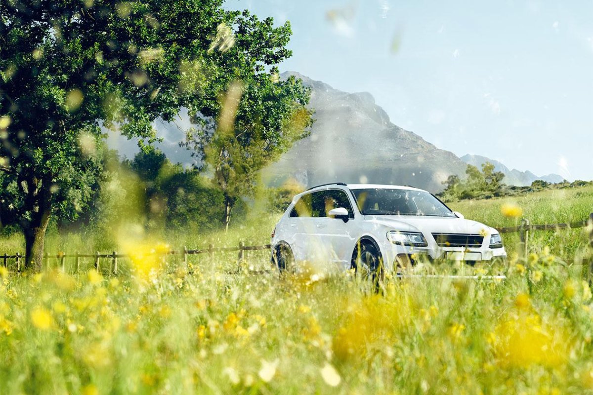 Машина лето