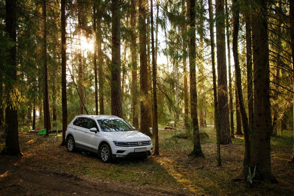 Volkswagen Tiguan в лесу