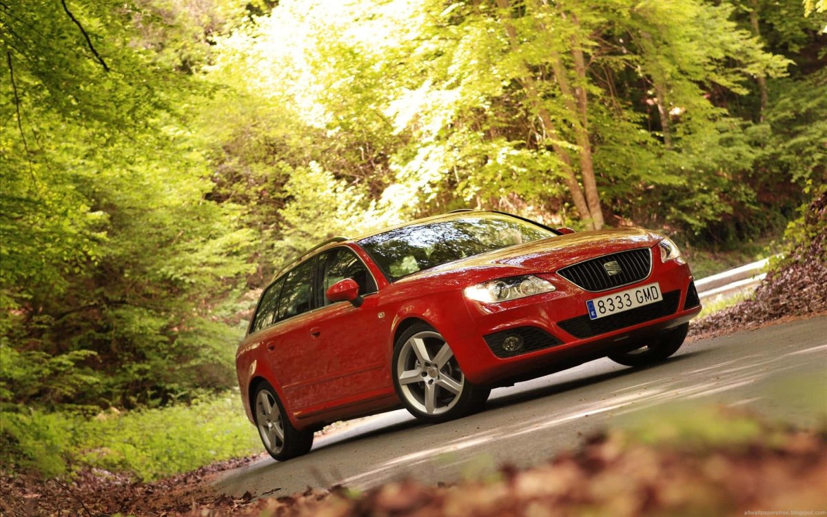 Seat Exeo St