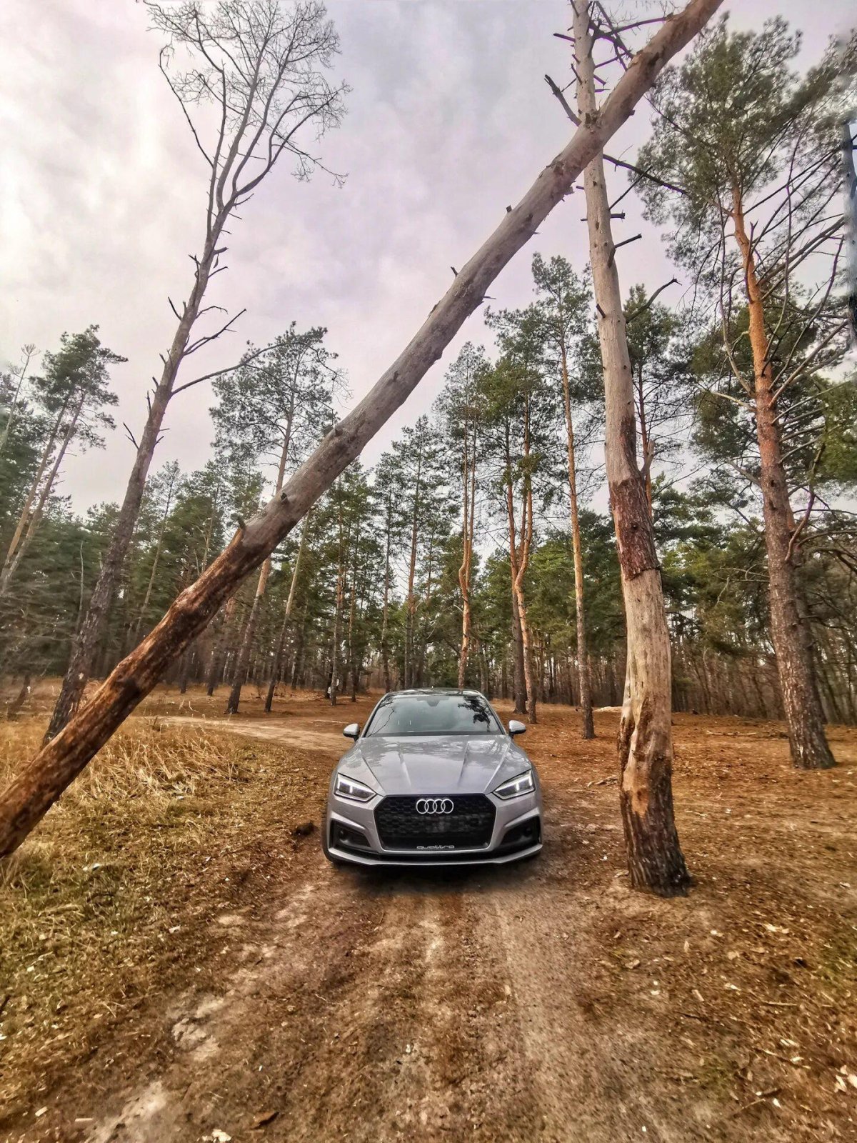 Красивый автомобиль на природе