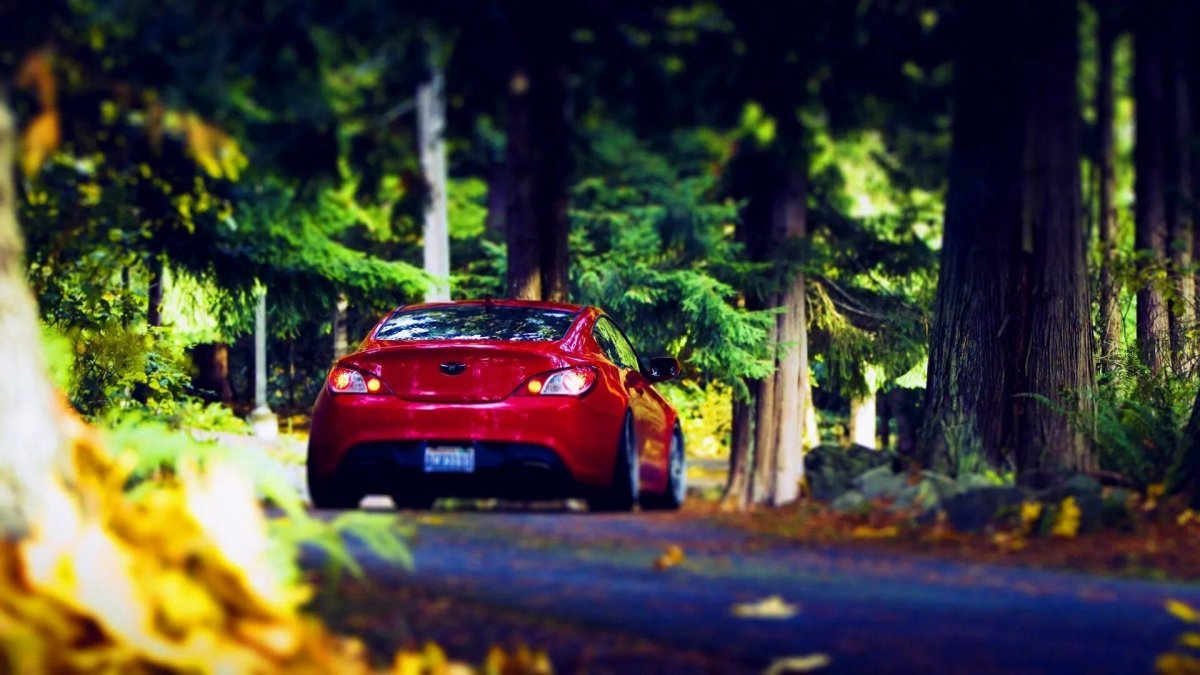 Машина в лесу