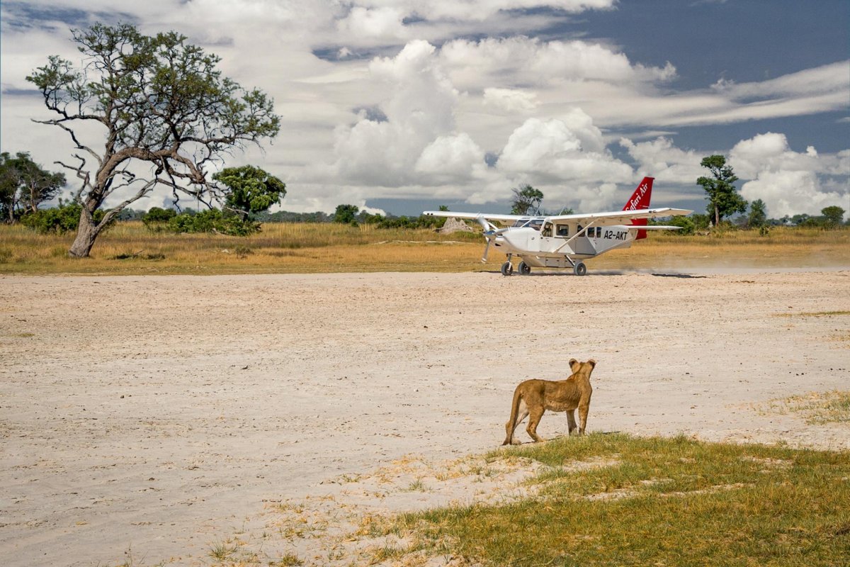 Авиация Африки