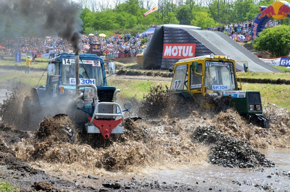 Бизон трек шоу