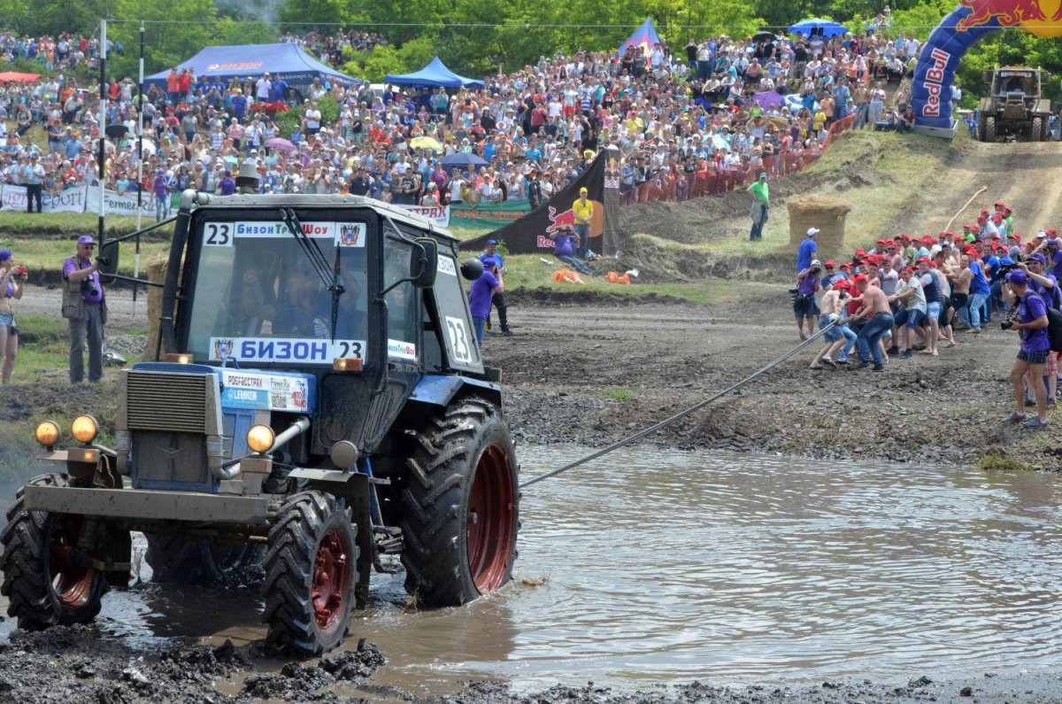 МТЗ Бизон трек шоу