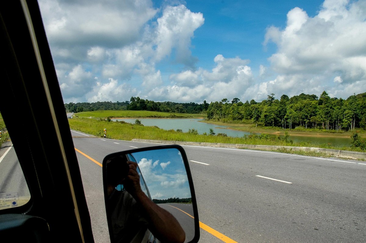 Дорога из окна машины