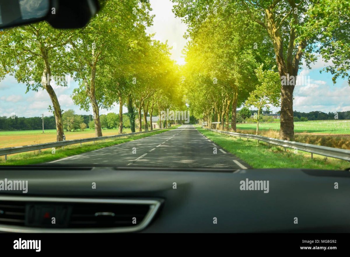 Вид из лобового стекла машины