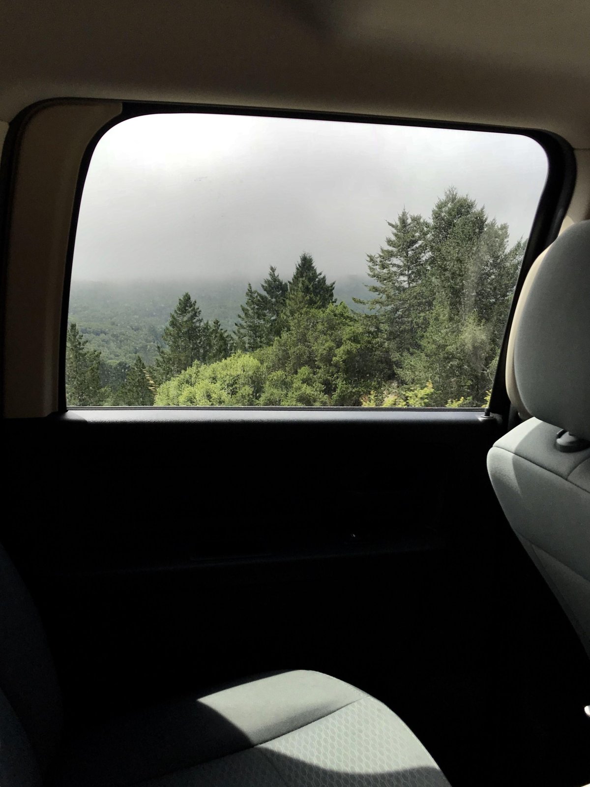 Friends in car view from inside