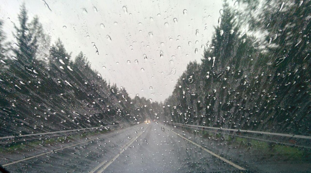 Антидождь лобовое