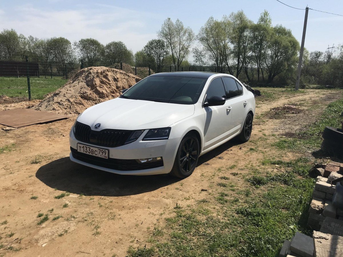 Тонированный Skoda Octavia a7 FL