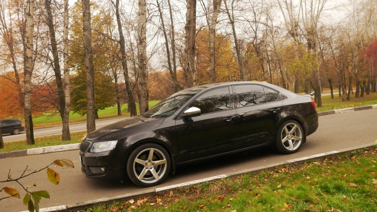 Skoda Octavia a7 занижение -40