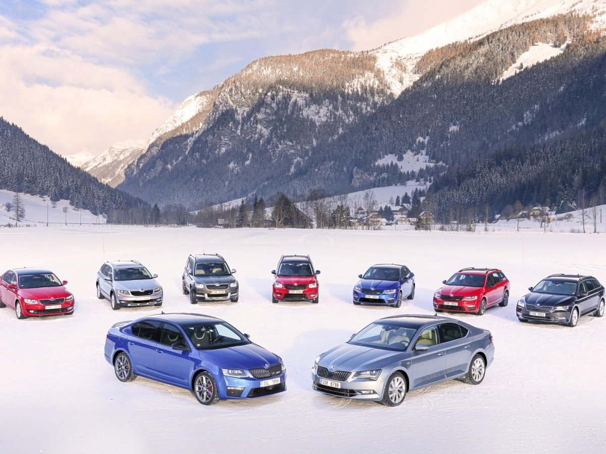 Skoda Модельный ряд